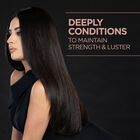 Luxury Black Seed Oil Blend Blow Dry Cream, , large image number null